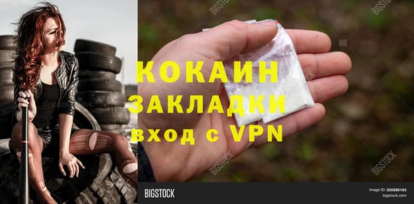 прущие грибы Навашино