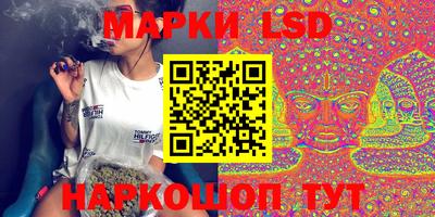гашик Бийск