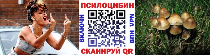 OMG как войти  Донской  Галлюциногенные грибы мухоморы 