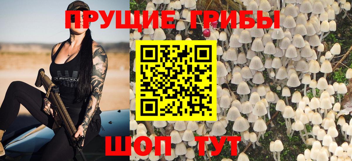 Псилоцибиновые грибы Magic Shrooms  Галлюциногенные грибы мицелий  Донской 
