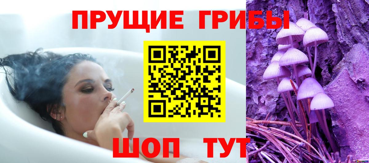 Донской  Галлюциногенные грибы Magic Shrooms  Вход с VPN 
