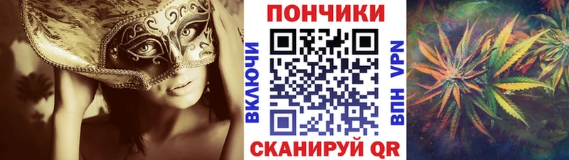 Канабис ГИДРОПОН Донской
